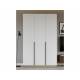 Шкаф 3-хстворчатый с доводчиками Лион