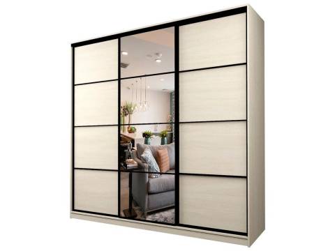 Шкаф-купе Max МШ-25-6-24/2-151