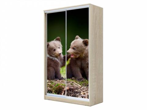 Шкаф-купе Хит 23-12-77 фотопечать 25