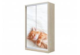 Шкаф-купе Хит 23-14-77 фото 23