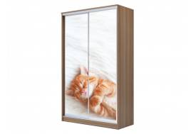 Шкаф-купе Хит 23-15-77 фото 23